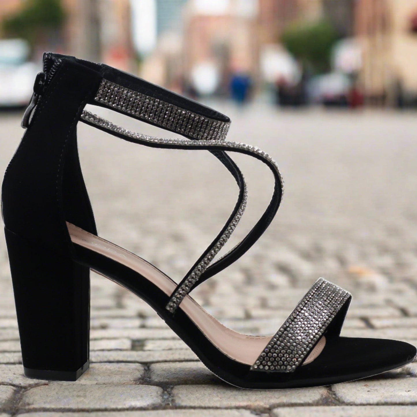 rosa-66 black