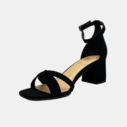 Free Dynesty-S Black NB